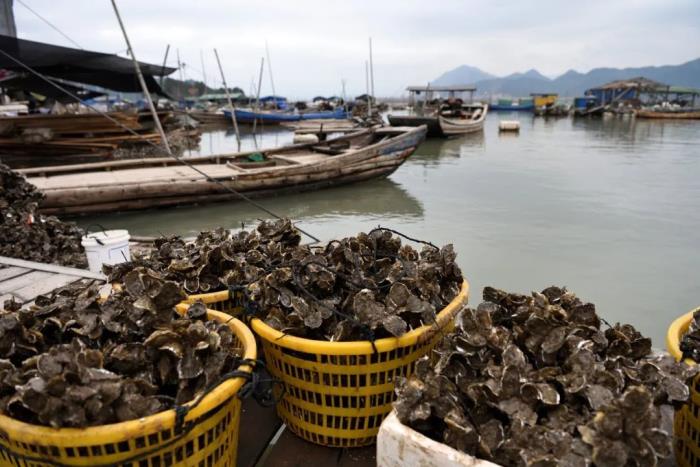 这小城靠“摆拍天堂”火出国外 我却更爱真实的它 这小城靠“摆拍天堂”火出国外 我却更爱真实的它