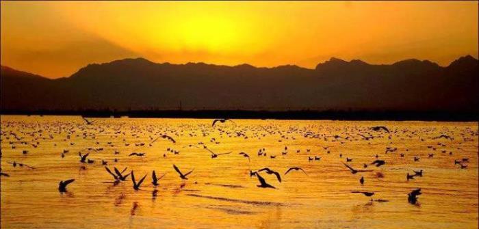 中国这40个地方,去过10个你就是旅行达人! 中国这40个地方,去过10个你就是旅行达人!