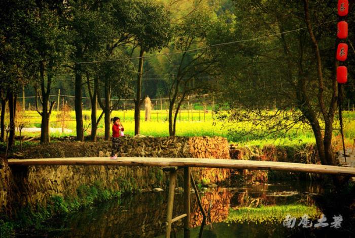 别来找我 我要去婺源扫黄了 别来找我 我要去婺源扫黄了