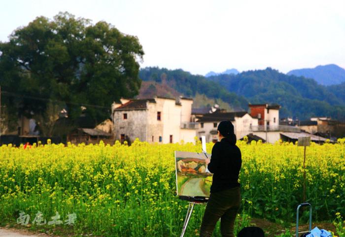 别来找我 我要去婺源扫黄了 别来找我 我要去婺源扫黄了