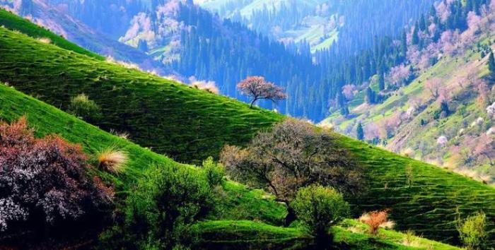 中国这40个地方,去过10个你就是旅行达人! 中国这40个地方,去过10个你就是旅行达人!