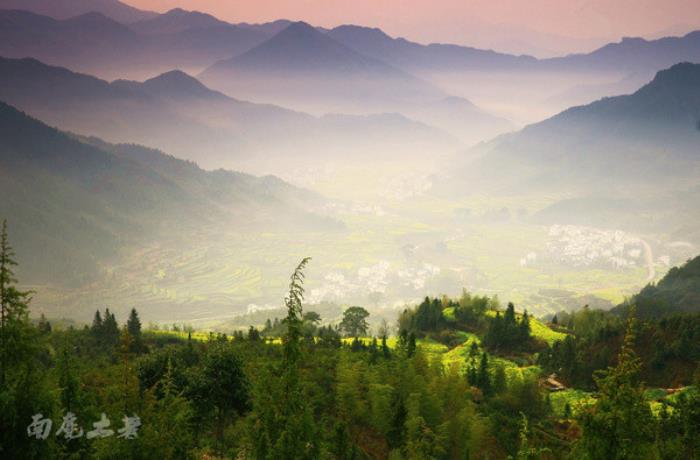 别来找我 我要去婺源扫黄了 别来找我 我要去婺源扫黄了