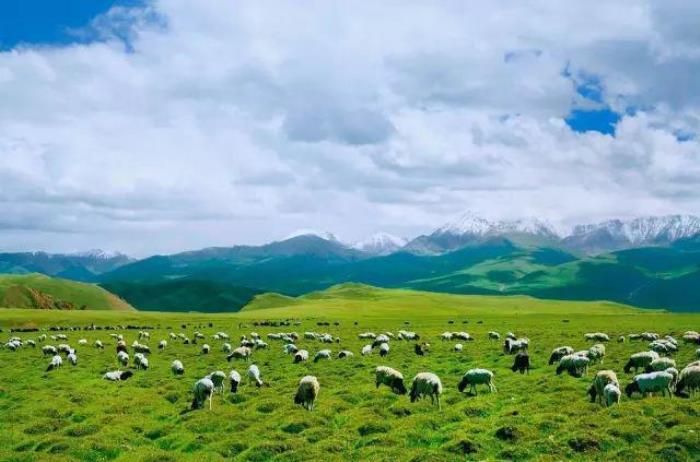 去新疆,看世界的风景 去新疆,看世界的风景