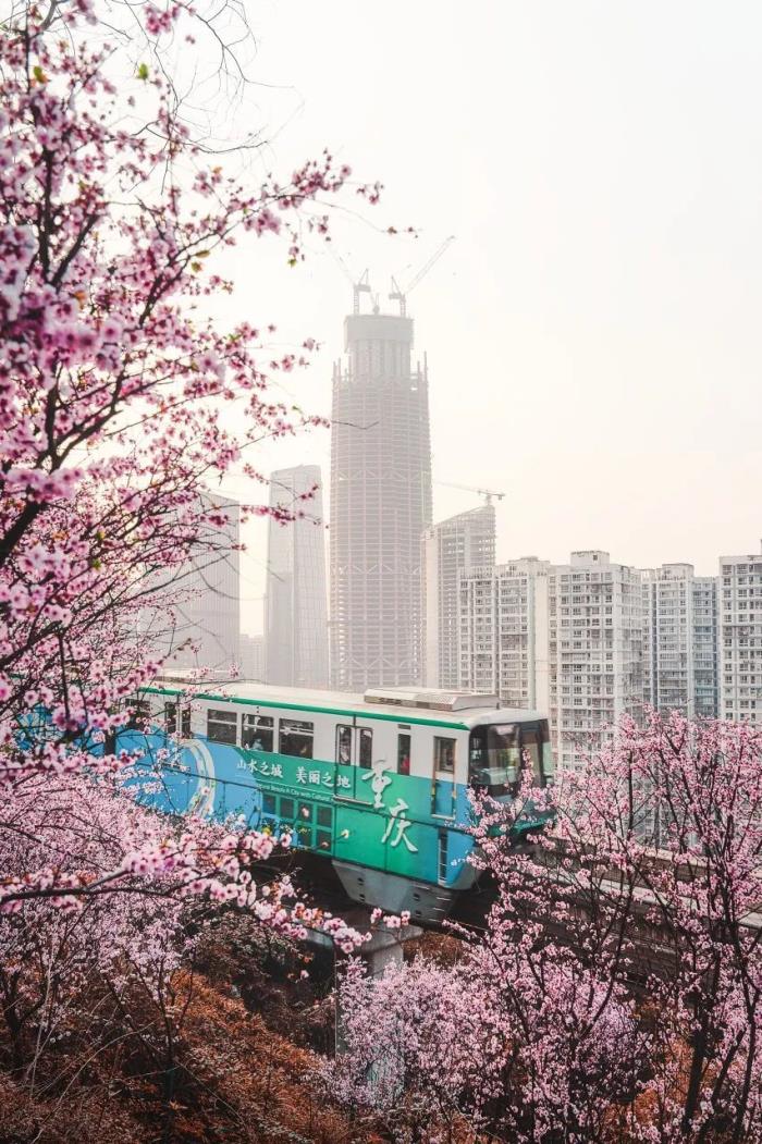 “开往春天的列车”美上央视! 比成都秀美 这座老城你去过吗? “开往春天的列车”美上央视! 比成都秀美 这座老城你去过吗?