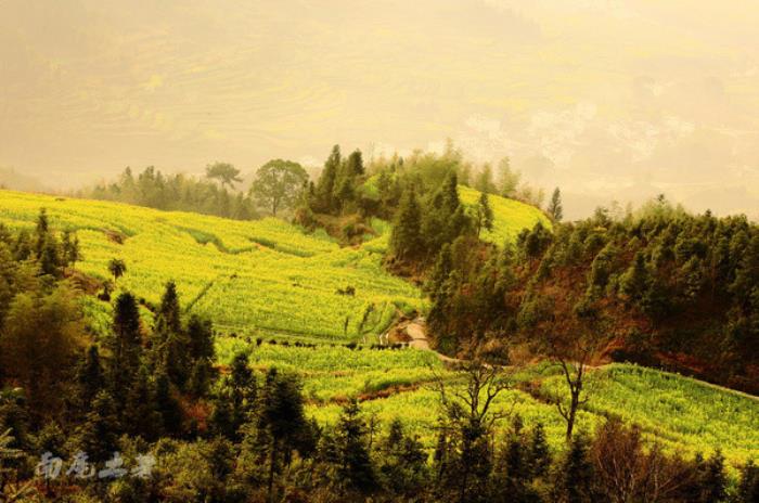 别来找我 我要去婺源扫黄了 别来找我 我要去婺源扫黄了