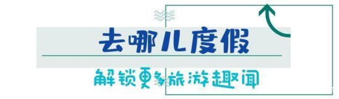 日本女导游请私人导游，事后却引起游客不满！