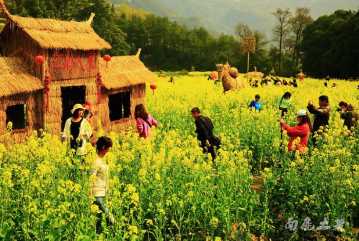 别来找我 我要去婺源扫黄了 别来找我 我要去婺源扫黄了