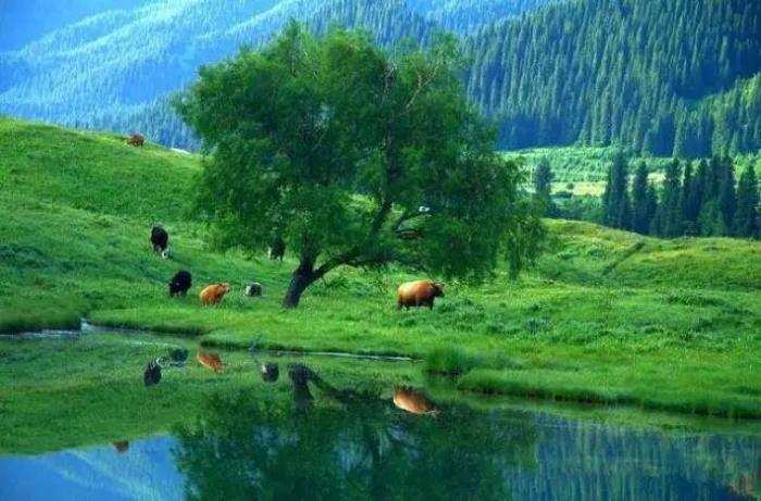 去新疆,看世界的风景 去新疆,看世界的风景