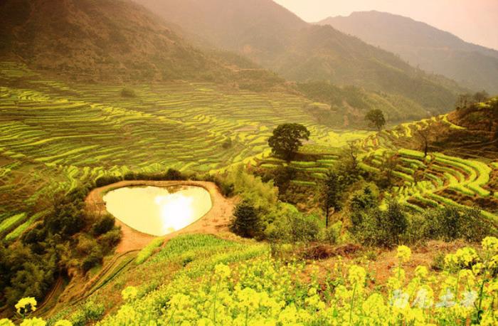 别来找我 我要去婺源扫黄了 别来找我 我要去婺源扫黄了