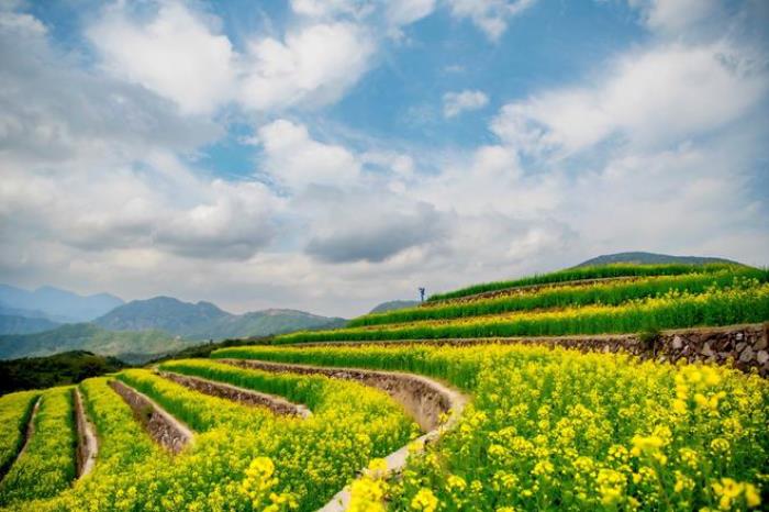 “云”赏花!踏春不出门,我们把春日浪漫送给你~ “云”赏花!踏春不出门,我们把春日浪漫送给你~