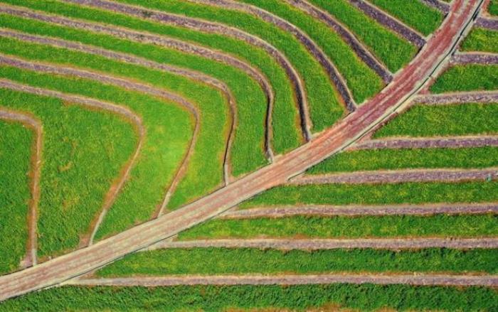 “云”赏花!踏春不出门,我们把春日浪漫送给你~ “云”赏花!踏春不出门,我们把春日浪漫送给你~