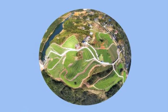 “云”赏花!踏春不出门,我们把春日浪漫送给你~ “云”赏花!踏春不出门,我们把春日浪漫送给你~