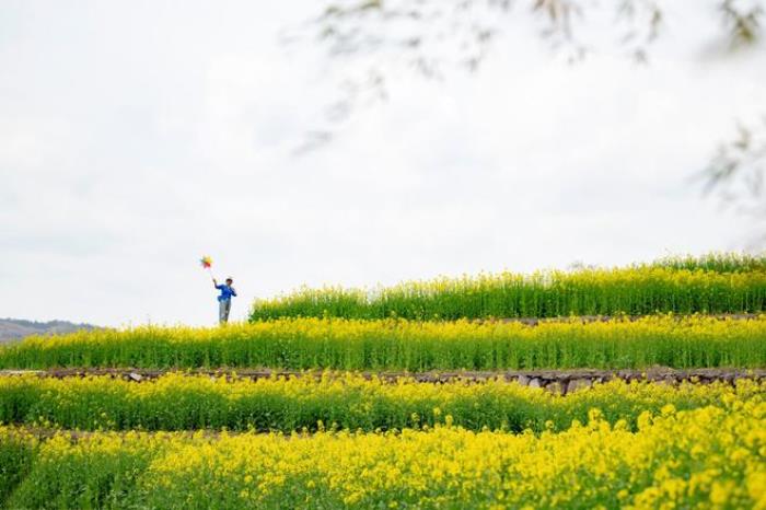 “云”赏花!踏春不出门,我们把春日浪漫送给你~ “云”赏花!踏春不出门,我们把春日浪漫送给你~