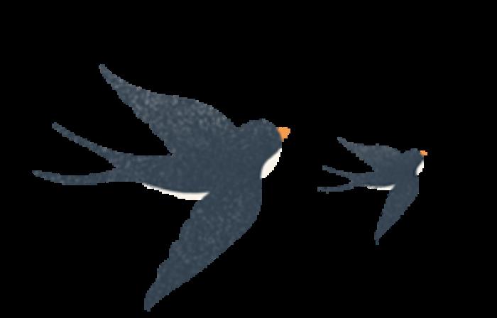 “云”赏花!踏春不出门,我们把春日浪漫送给你~ “云”赏花!踏春不出门,我们把春日浪漫送给你~