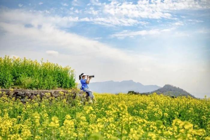 “云”赏花!踏春不出门,我们把春日浪漫送给你~ “云”赏花!踏春不出门,我们把春日浪漫送给你~
