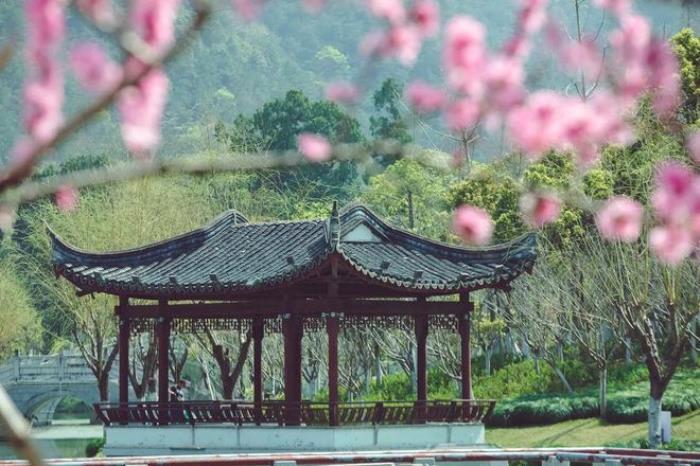 “云”赏花!踏春不出门,我们把春日浪漫送给你~ “云”赏花!踏春不出门,我们把春日浪漫送给你~