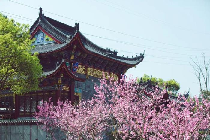 “云”赏花!踏春不出门,我们把春日浪漫送给你~ “云”赏花!踏春不出门,我们把春日浪漫送给你~