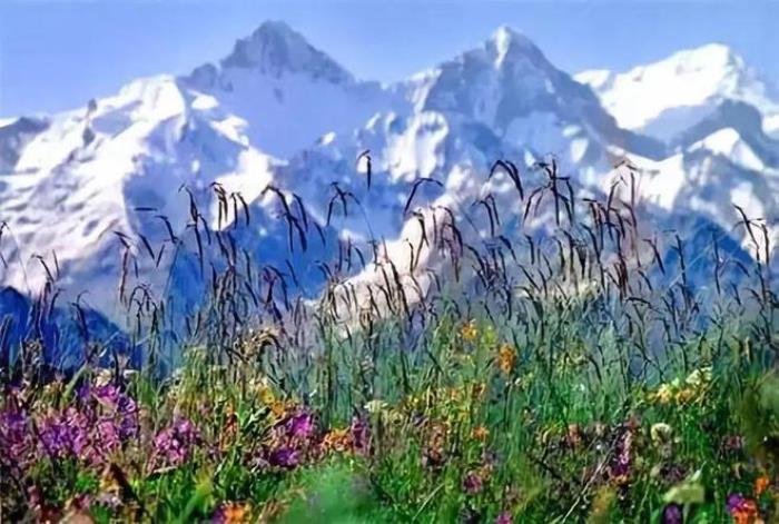 去新疆,看世界的风景 去新疆,看世界的风景