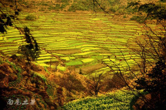 别来找我 我要去婺源扫黄了 别来找我 我要去婺源扫黄了