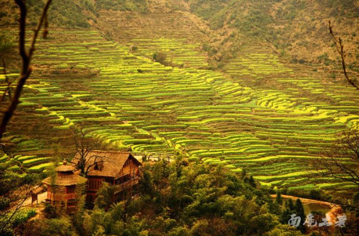 别来找我 我要去婺源扫黄了 别来找我 我要去婺源扫黄了