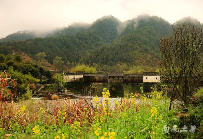 别来找我 我要去婺源扫黄了 别来找我 我要去婺源扫黄了