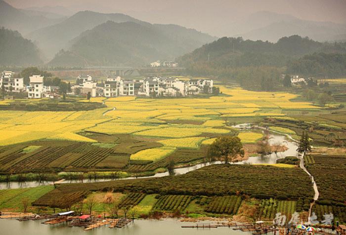 别来找我 我要去婺源扫黄了 别来找我 我要去婺源扫黄了