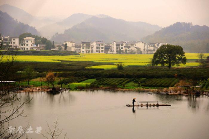 别来找我 我要去婺源扫黄了 别来找我 我要去婺源扫黄了