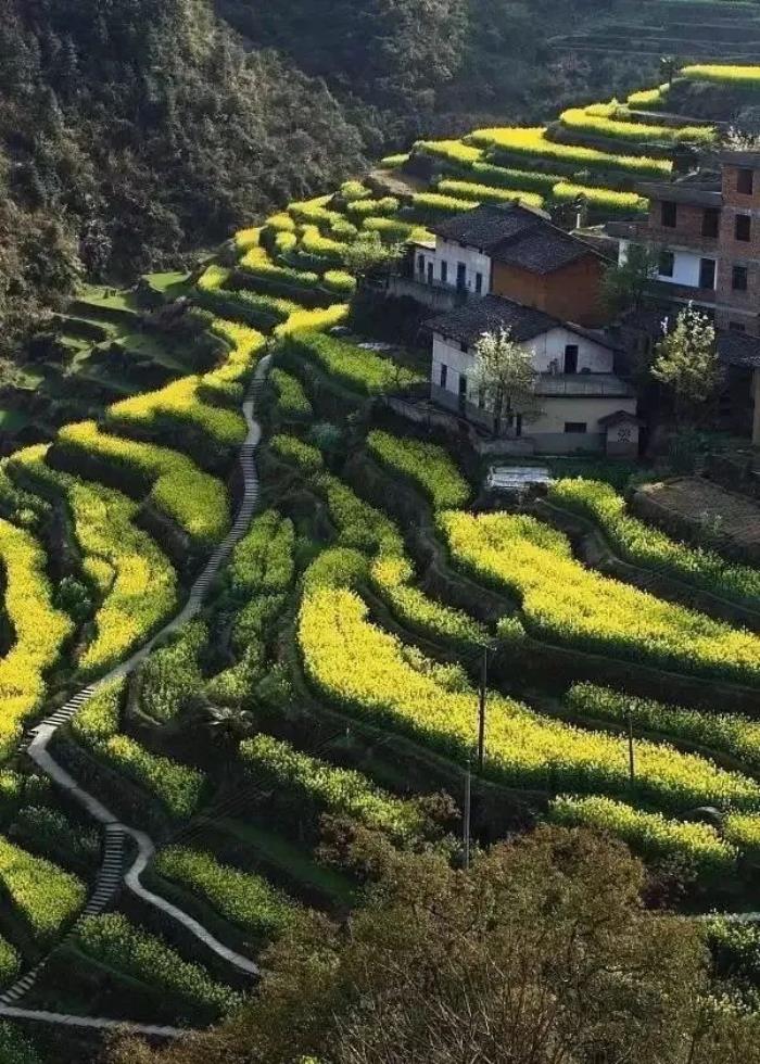 三四月不可错过的8个地方,春色融融,收拾好行囊踏春去吧! 三四月不可错过的8个地方,春色融融,收拾好行囊踏春去吧!