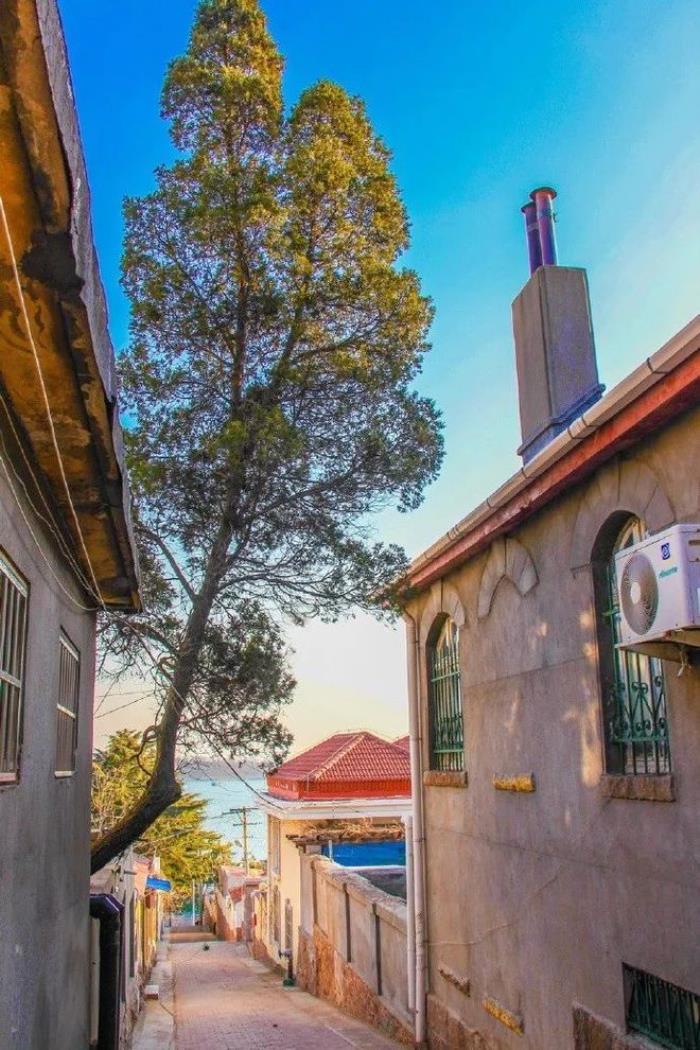 三四月不可错过的8个地方,春色融融,收拾好行囊踏春去吧! 三四月不可错过的8个地方,春色融融,收拾好行囊踏春去吧!