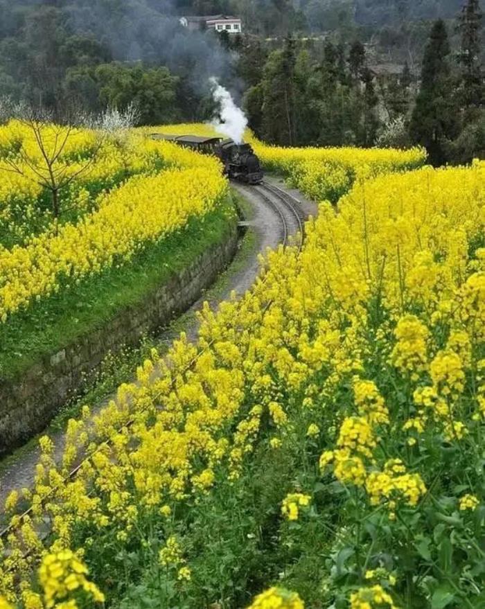 三四月不可错过的8个地方,春色融融,收拾好行囊踏春去吧! 三四月不可错过的8个地方,春色融融,收拾好行囊踏春去吧!