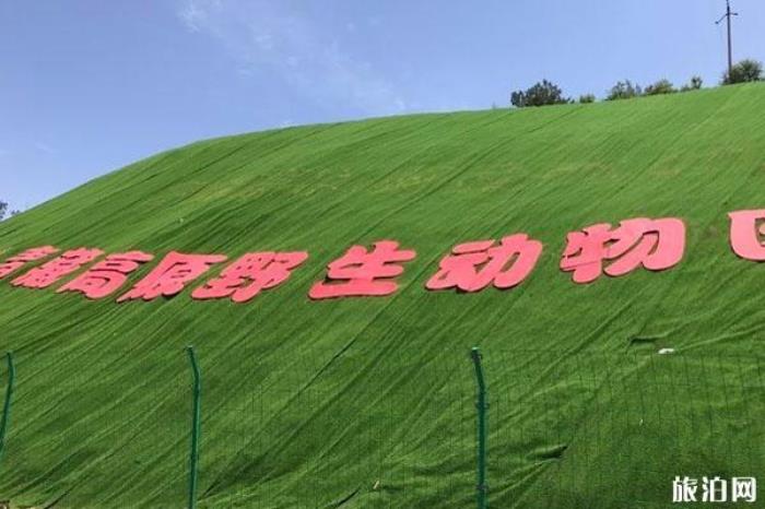 青藏高原野生动物园 青藏高原野生动物园