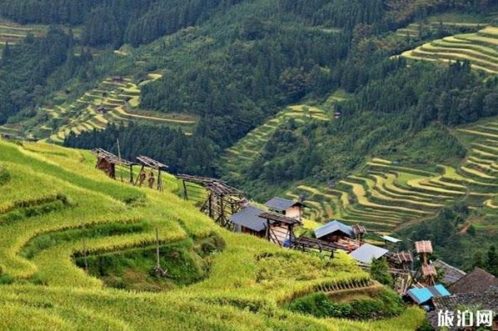 加榜梯田 加榜梯田