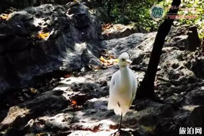 桂林叠彩山景区 桂林叠彩山景区
