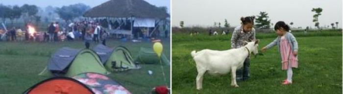 上海寻梦源香草农场 上海寻梦源香草农场