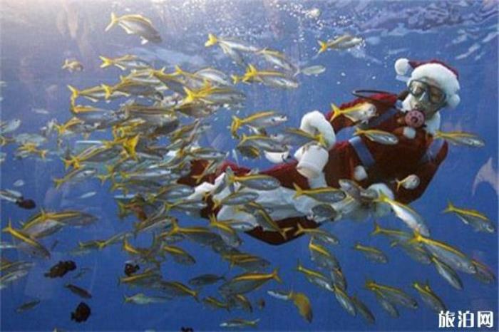 南波湾海洋乐园 南波湾海洋乐园