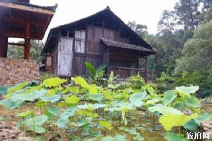 柳州君武森林公园 柳州君武森林公园