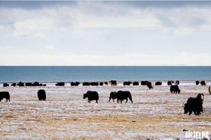 两湖一碑 两湖一碑
