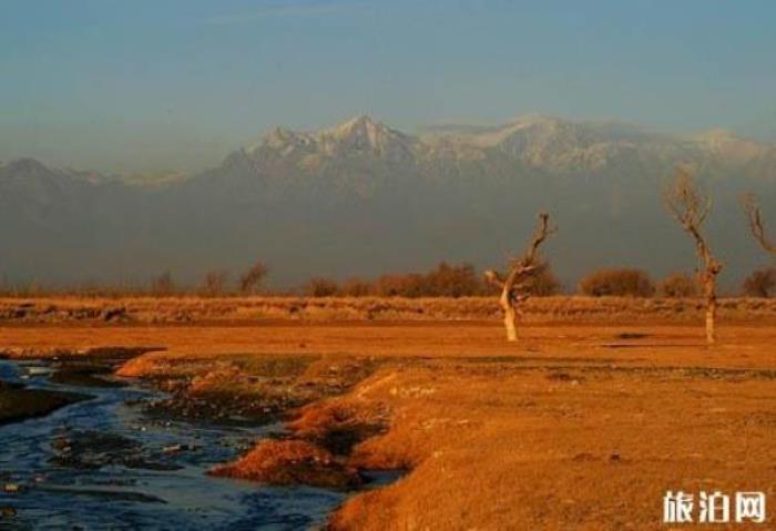 柴窝堡湖 柴窝堡湖