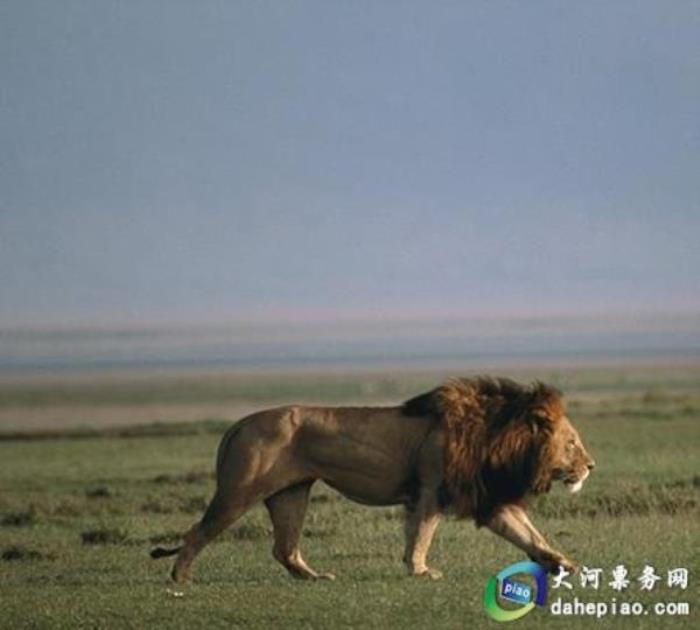 泉州海丝野生动物世界 泉州海丝野生动物世界