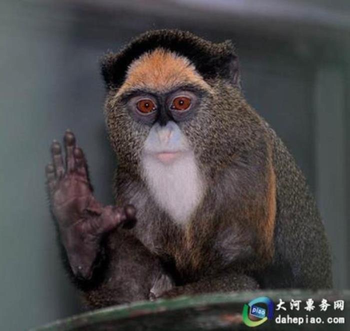 泉州海丝野生动物世界 泉州海丝野生动物世界