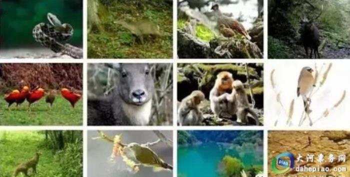 泉州海丝野生动物世界 泉州海丝野生动物世界
