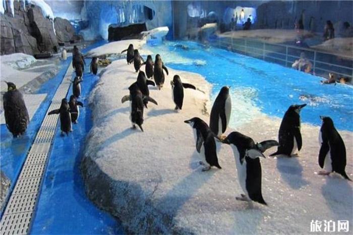 成都海昌极地海洋世界