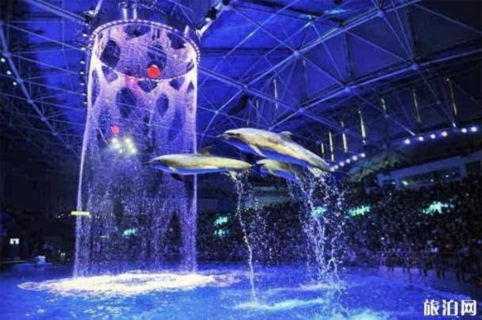 成都海昌极地海洋世界 成都海昌极地海洋世界