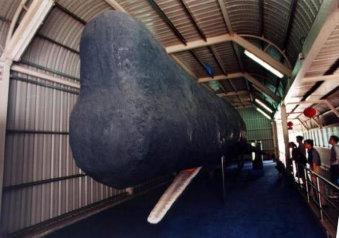 厦门海底世界 厦门海底世界