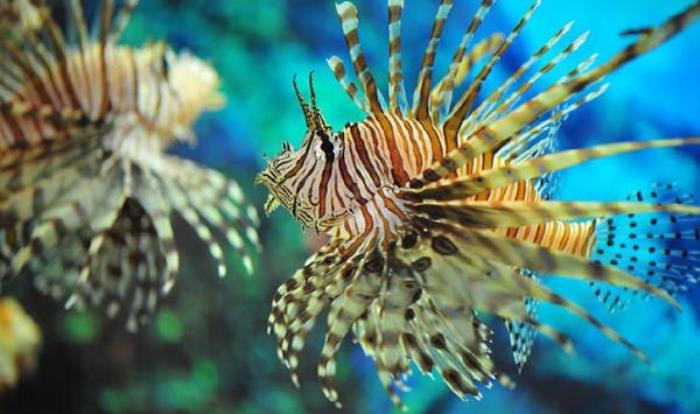 厦门海底世界 厦门海底世界