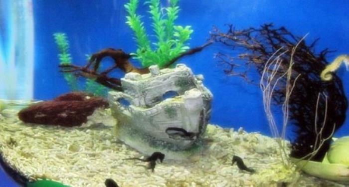 厦门海底世界 厦门海底世界