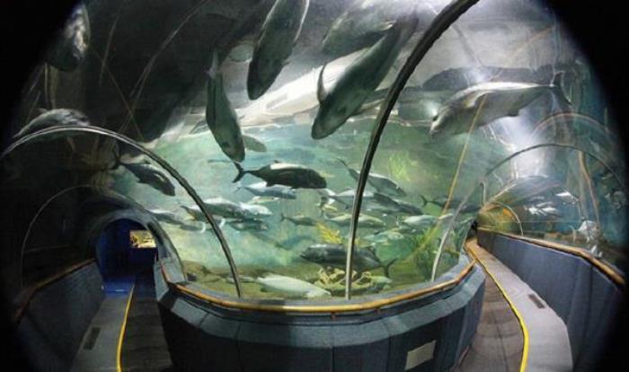 厦门海底世界 厦门海底世界