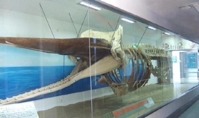 厦门海底世界 厦门海底世界