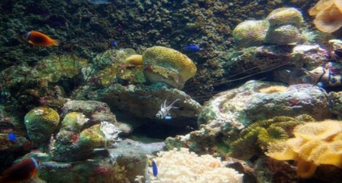 厦门海底世界 厦门海底世界