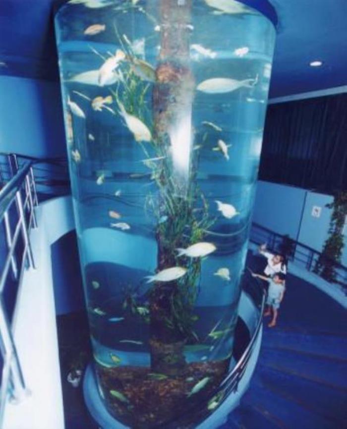 厦门海底世界 厦门海底世界